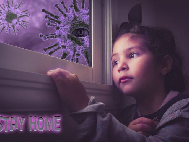 Guide pratique pour choisir l&rsquo;isolation de sa maison