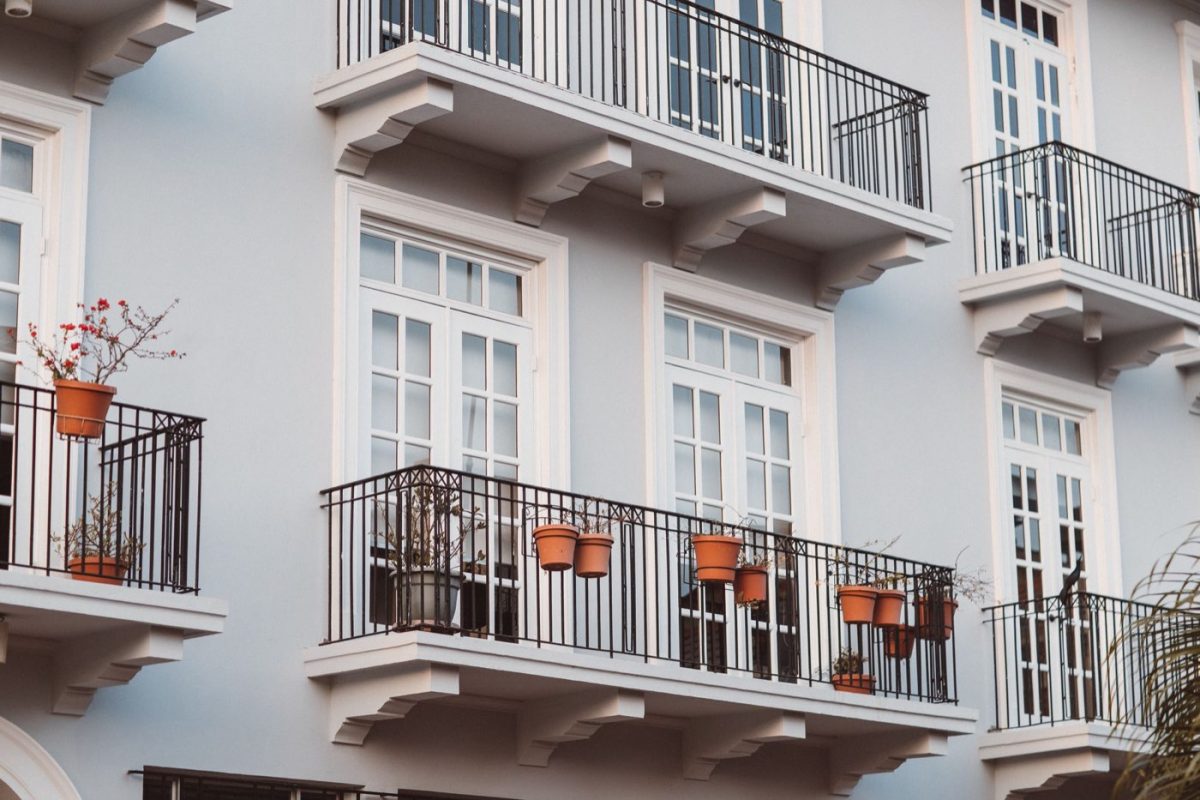 Plantes faciles pour balcon ombragé : guide pratique