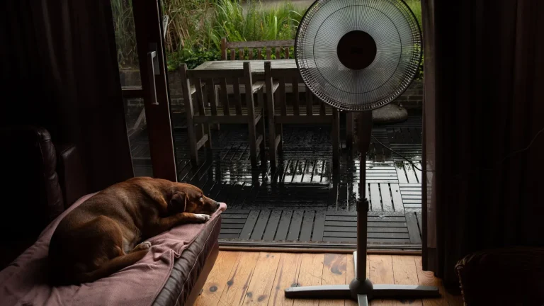 Prix des ventilateurs : demande, coûts de production, technologie